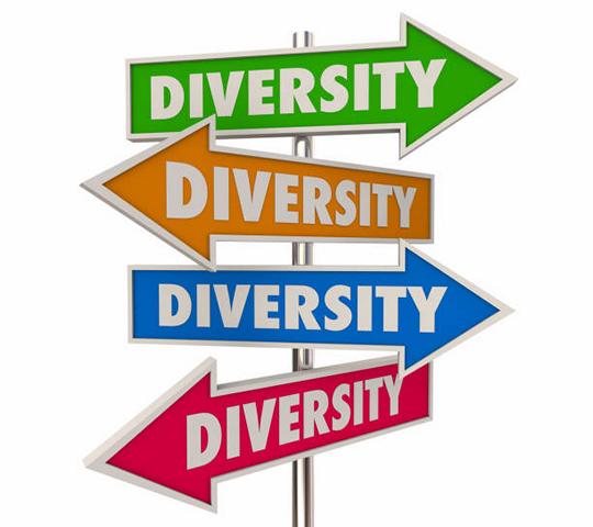 Diversity Inclusion Different Cultures Integration Signs 3d Illustration